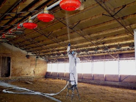 Poultry barn roof and structure treated with coating and foam